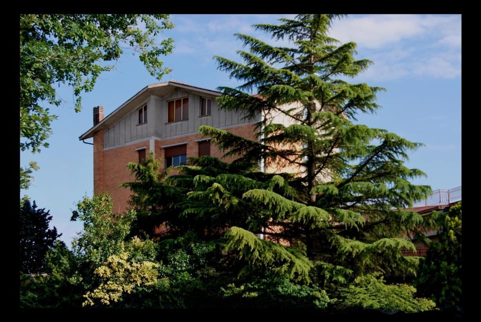 Facade/entrance, Garden