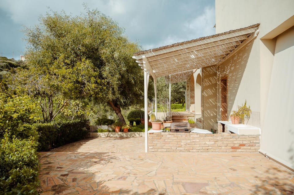 Patio, Day, Garden