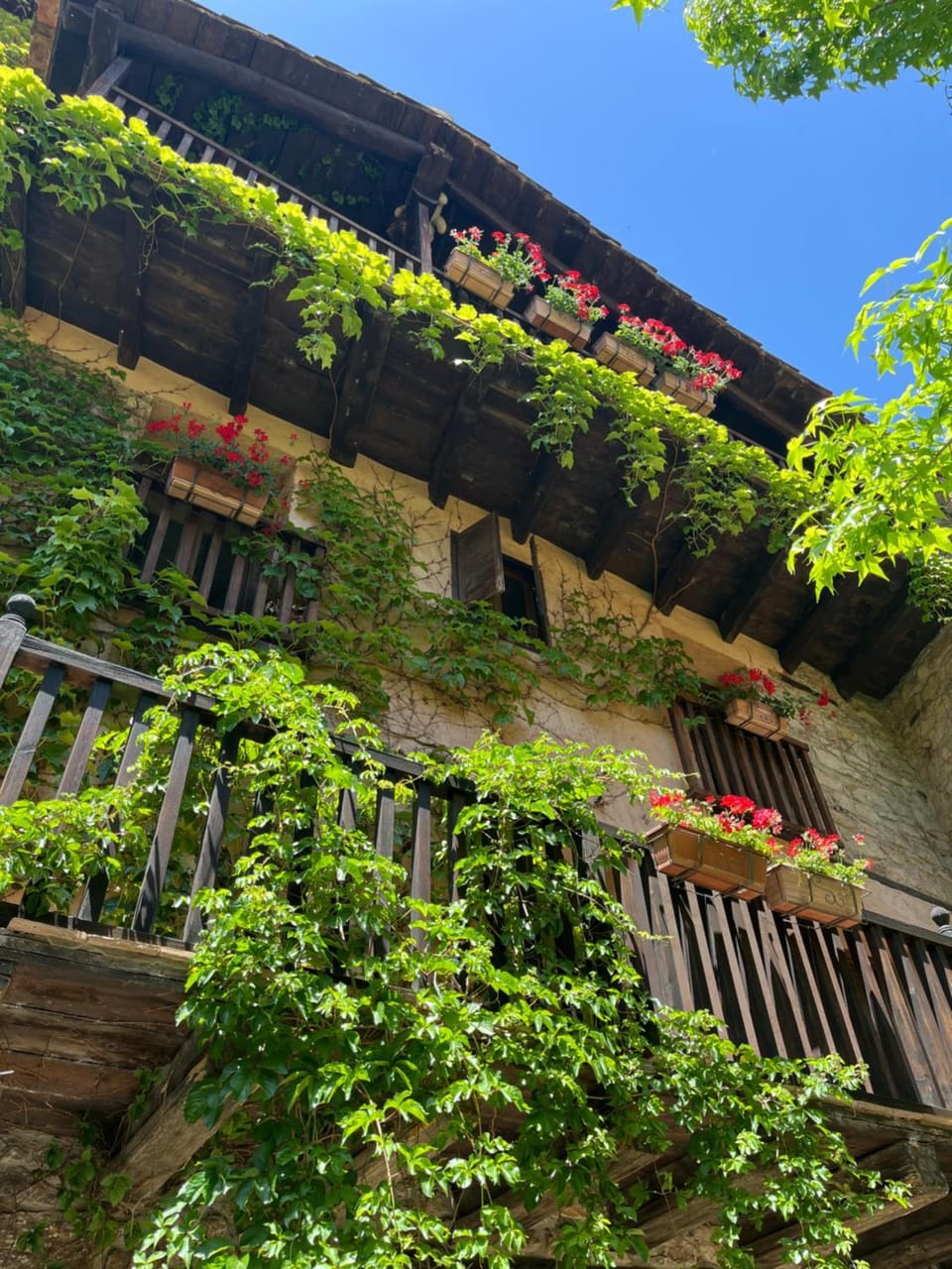 La Casa del Bosque Chalet in Valencian Community