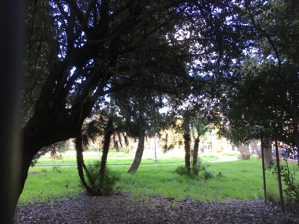 Garden, Garden view