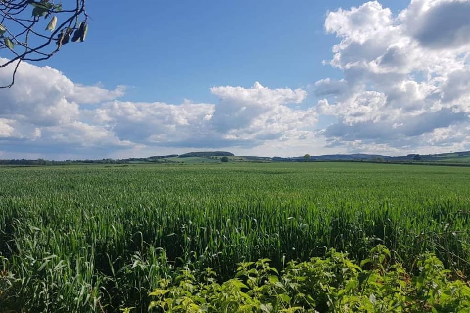 Rocking Chair Farmhouse Bed and Breakfast in England