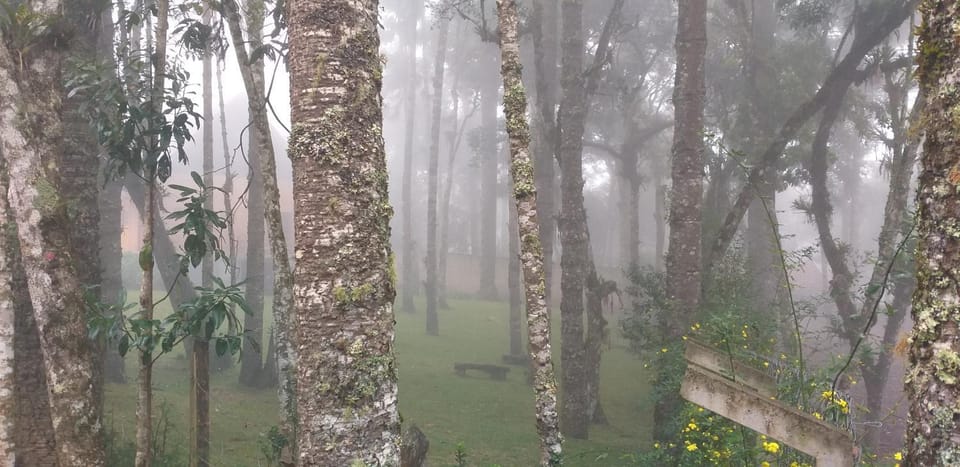 Natural landscape, Garden, Garden view