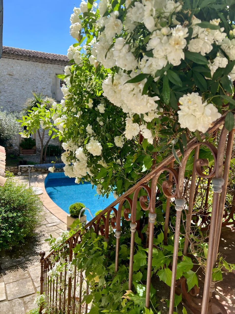 Garden, Pool view, Swimming pool