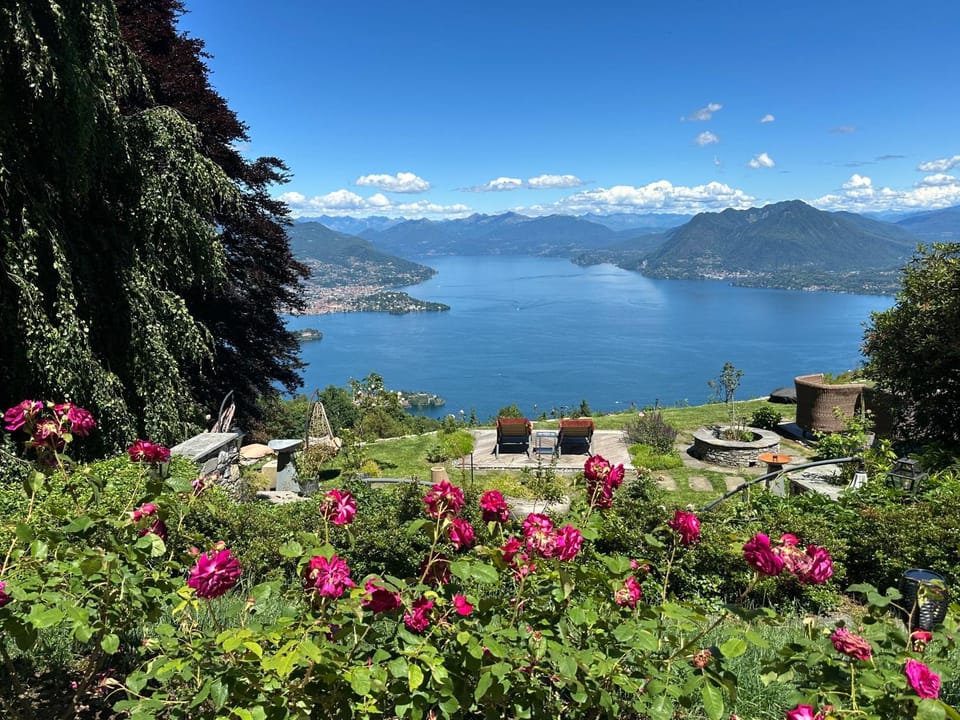 Garden, Lake view, sunbed