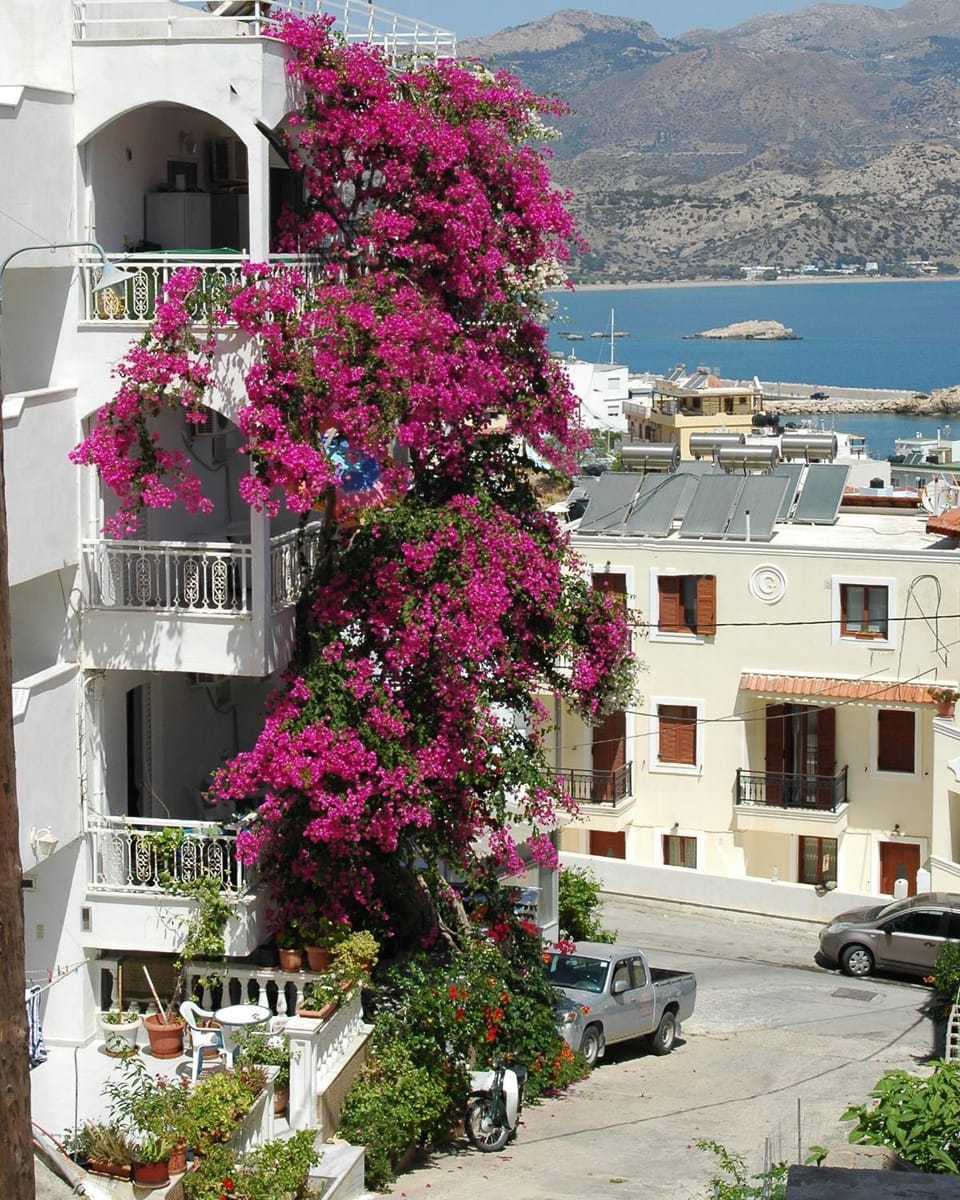 Roses Studios Apartment in Karpathos