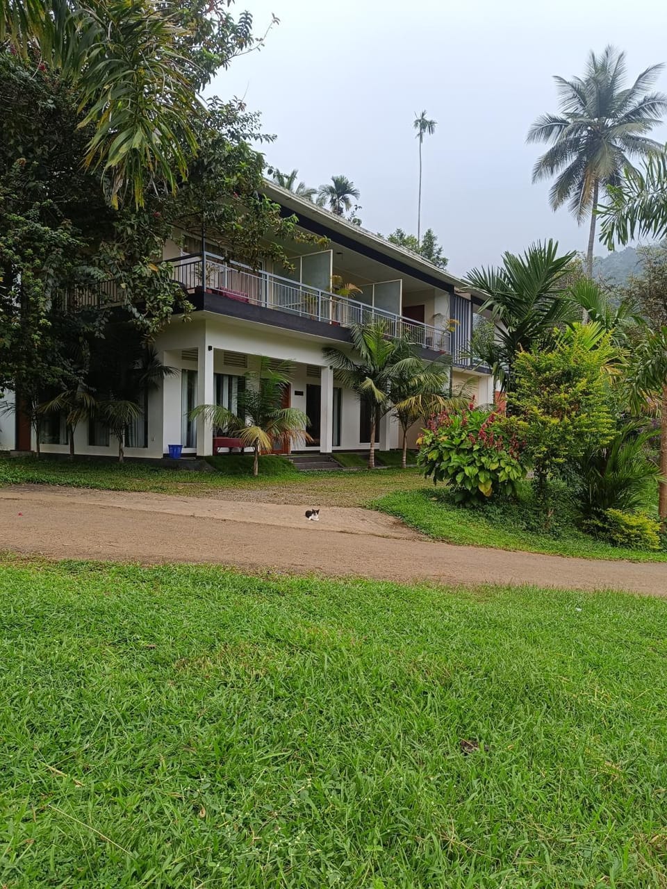 Riverbench Homestay Munnar, Anaviratty Vacation rental in Kerala