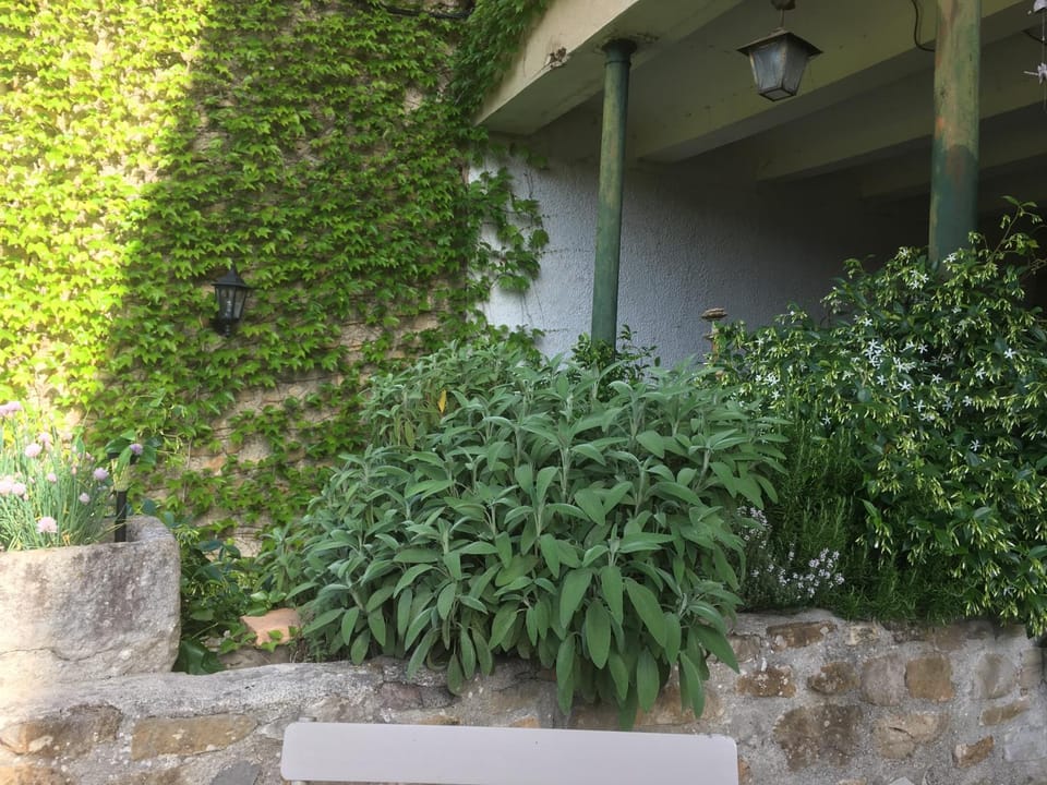 L’insolite Bed and Breakfast in Auvergne-Rhône-Alpes
