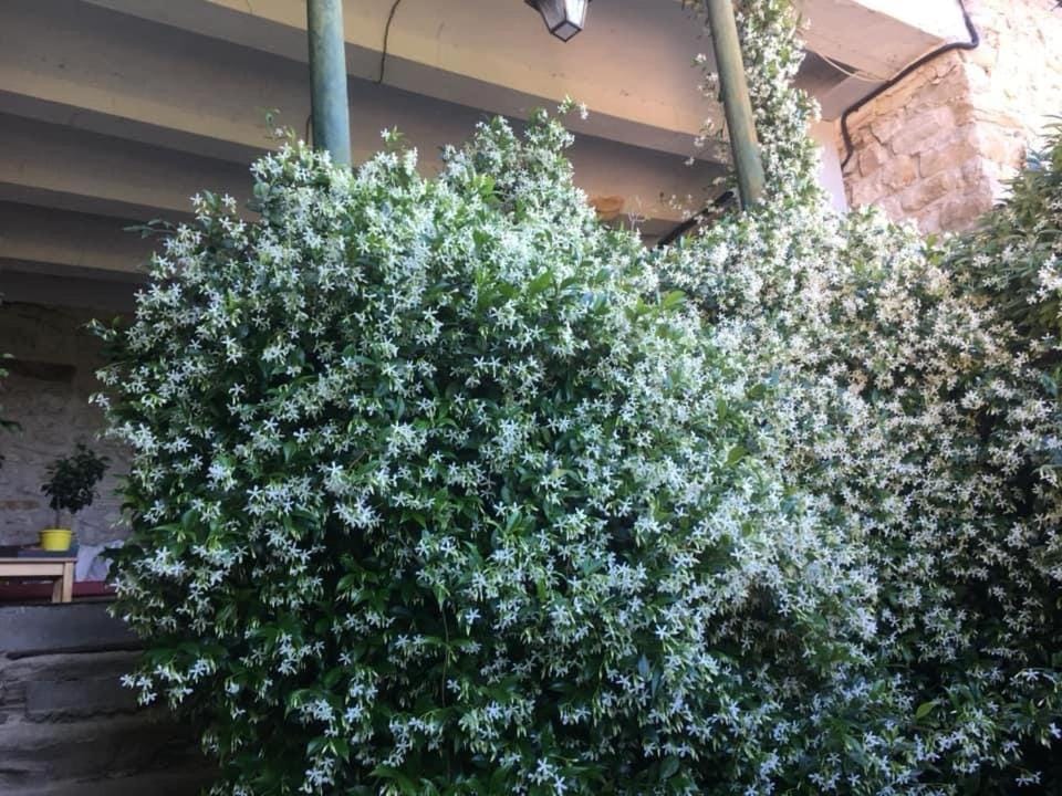 L’insolite Bed and Breakfast in Auvergne-Rhône-Alpes