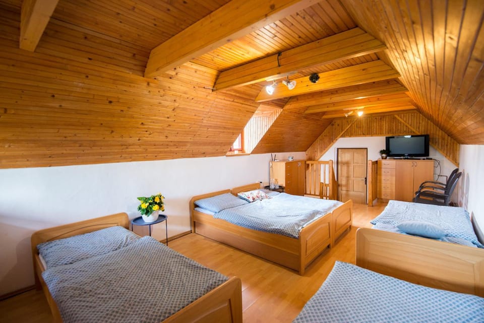 Apartmán Albert v Spa dedinke House in Slovakia