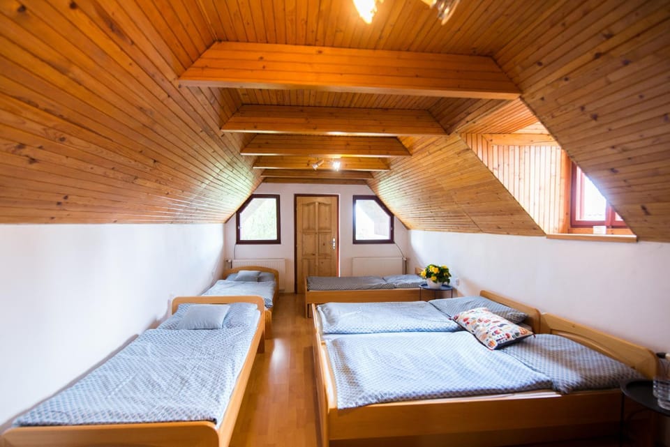 Apartmán Albert v Spa dedinke House in Slovakia