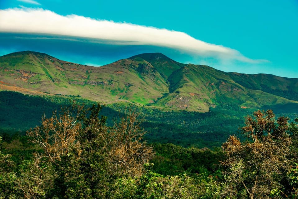 Mountain view