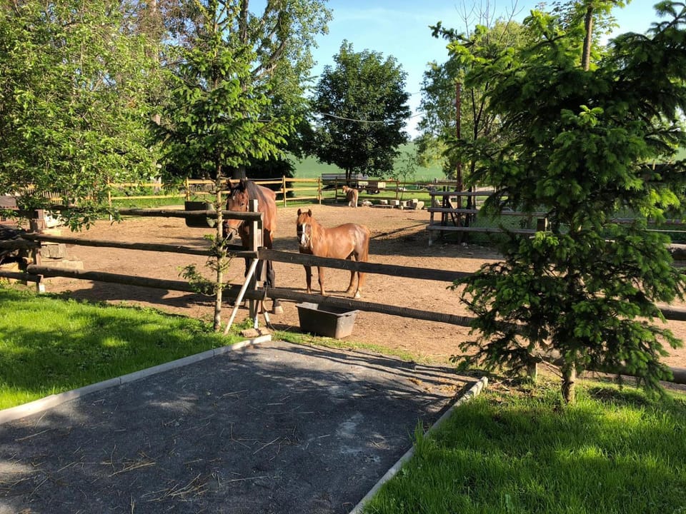 Property building, Garden