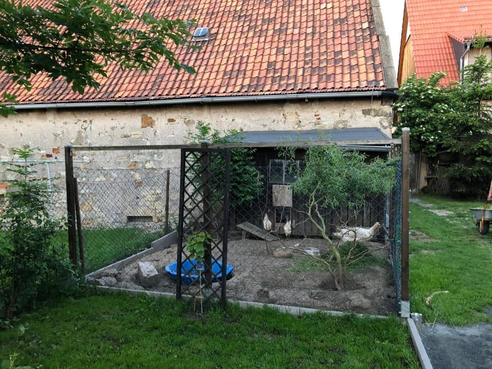 Property building, Garden