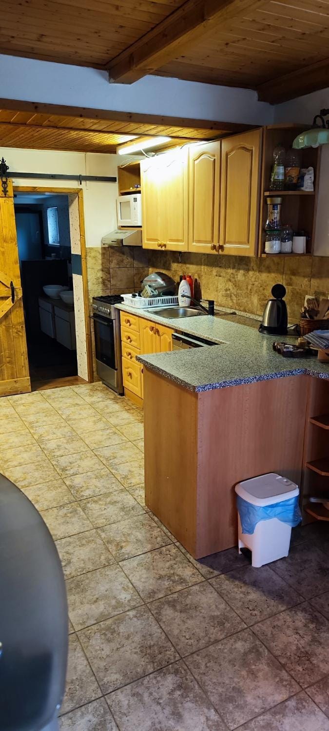 Kitchen or kitchenette, dishwasher, oven, stove