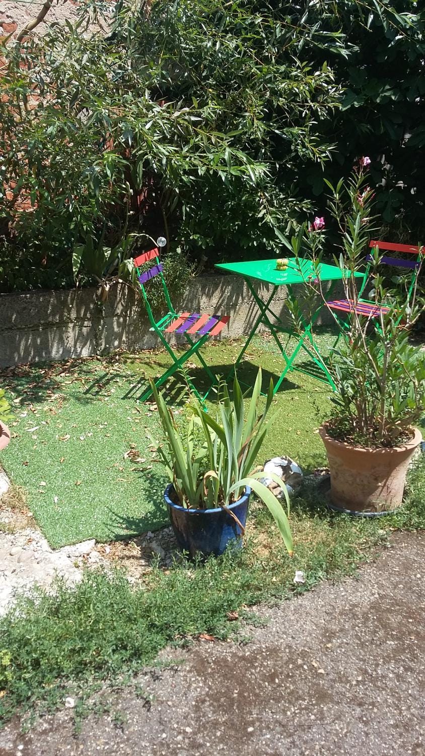 Garden