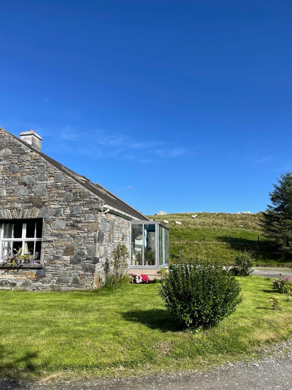 Property building, Natural landscape, Garden