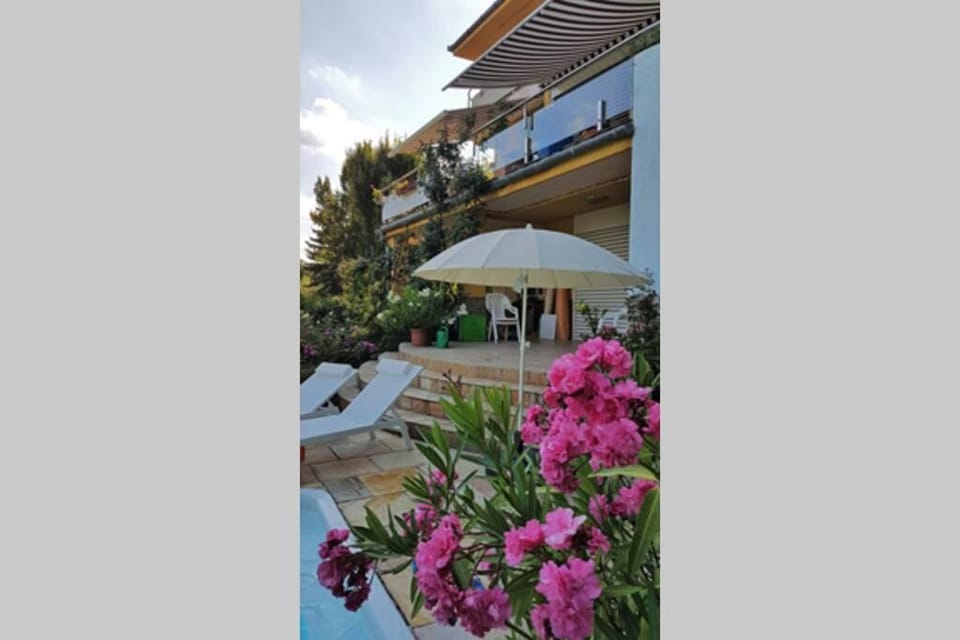 Garden view, Pool view, sunbed