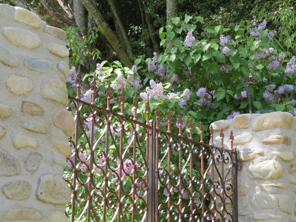 Natural landscape, Garden