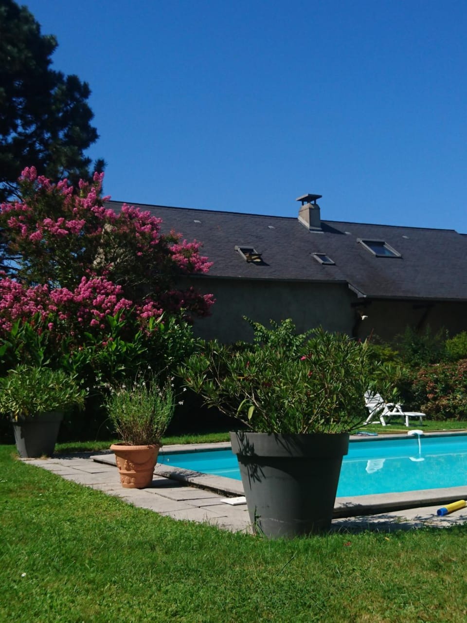 Garden, Solarium, Swimming pool, Swimming pool