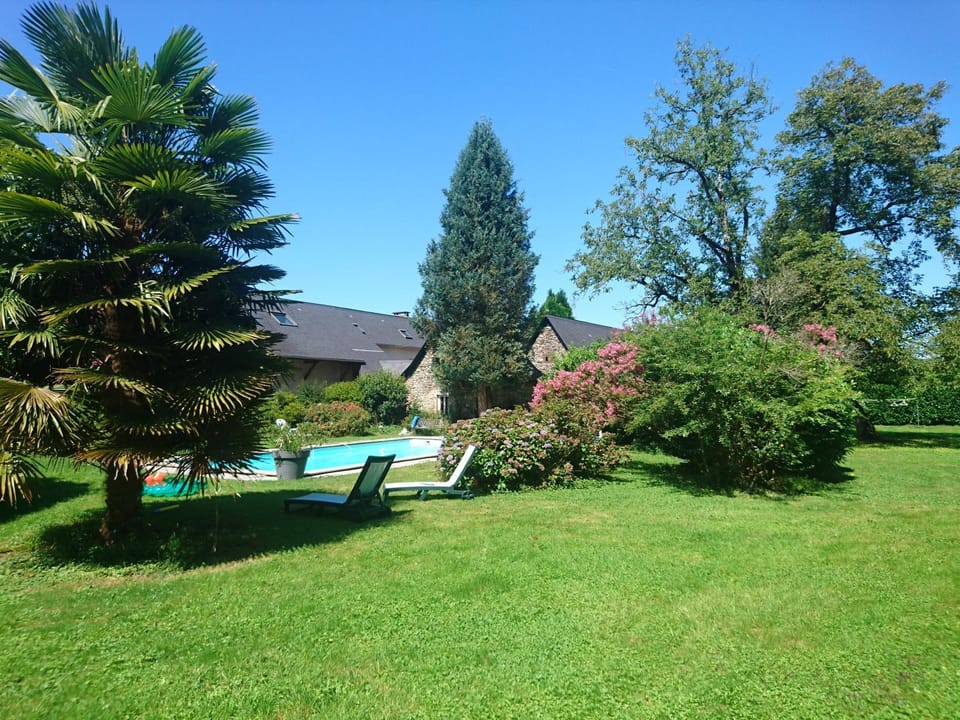 Garden, Solarium, Swimming pool, sunbed