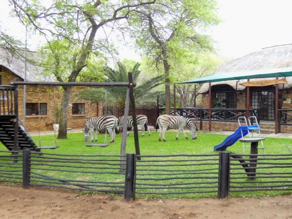 View (from property/room), Animals, Garden view