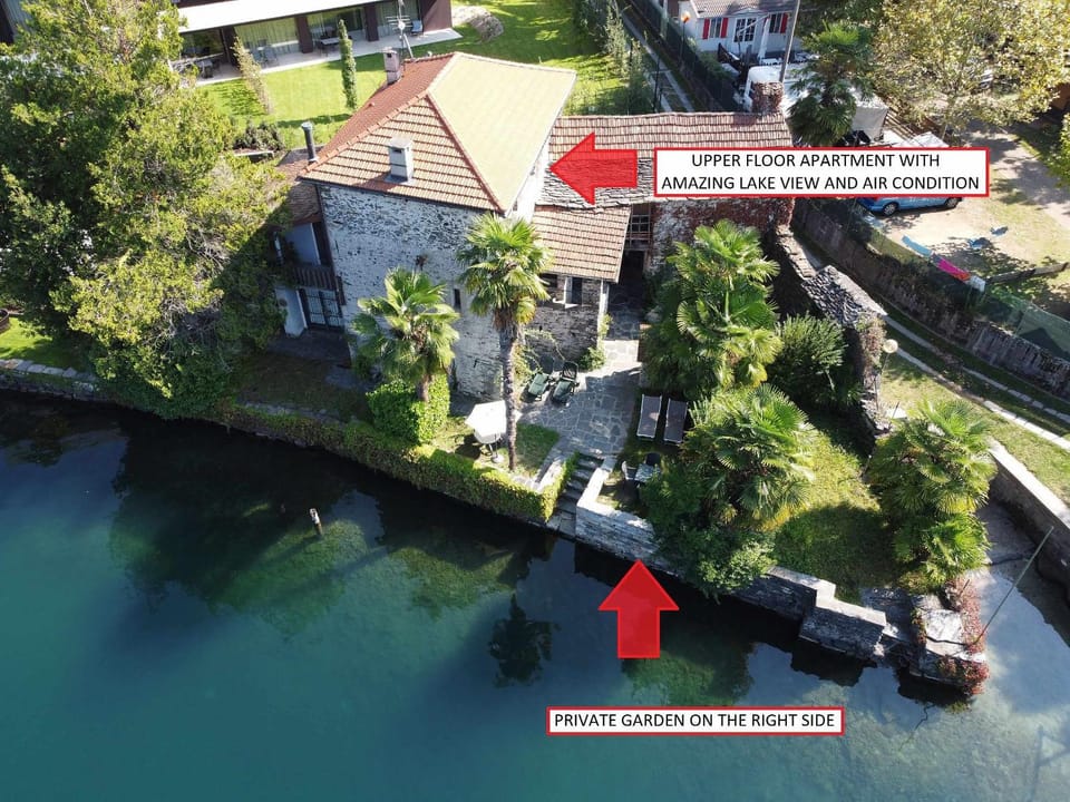 Bird's eye view, Garden