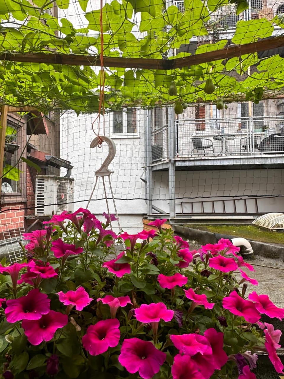 View (from property/room)