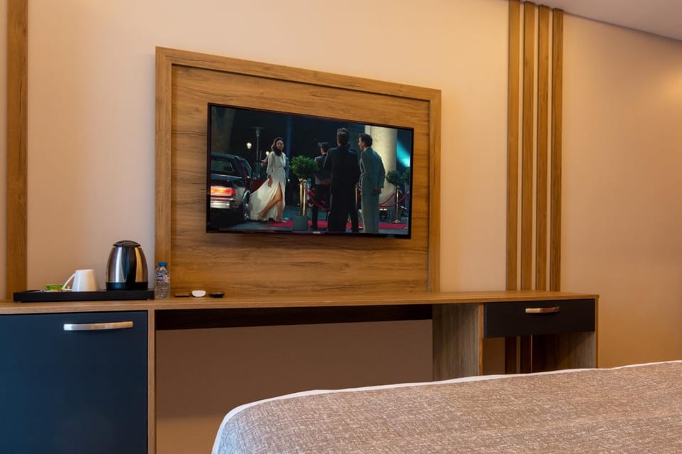TV and multimedia