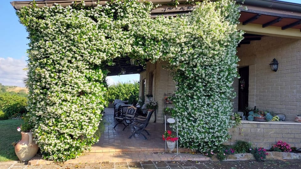 Il Casale Del Sogno Bed and Breakfast in Lazio
