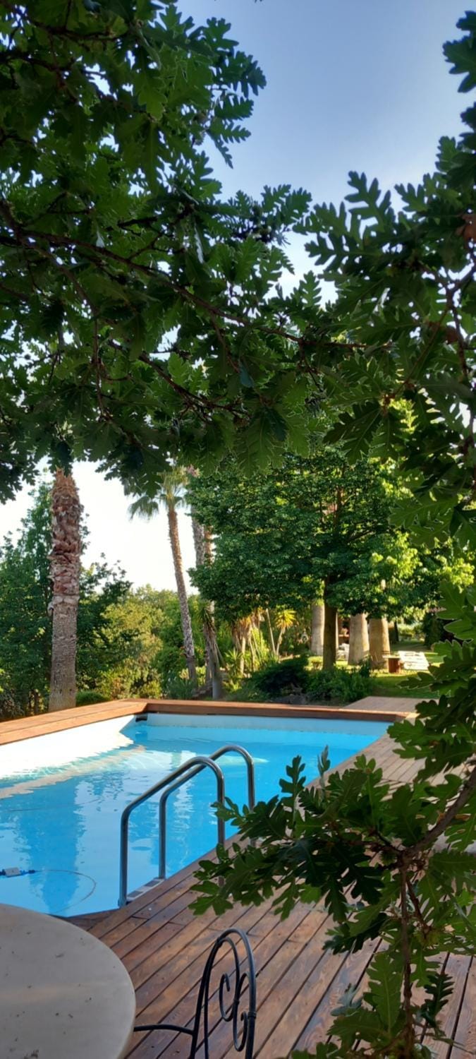 Pool view