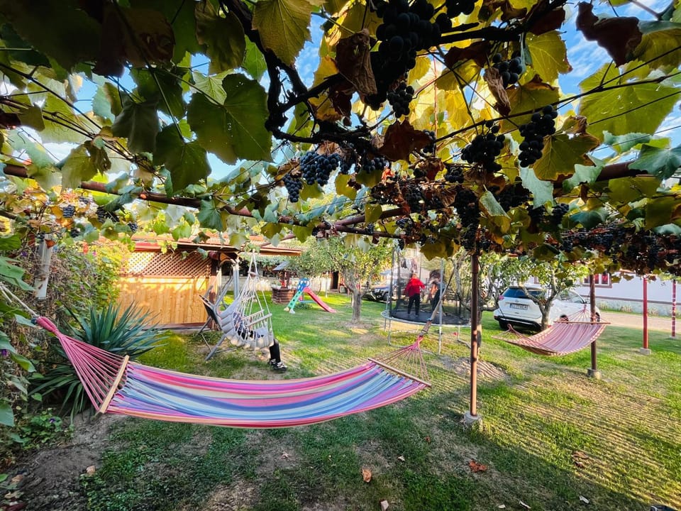 Casa Emilia Bed and Breakfast in Romania