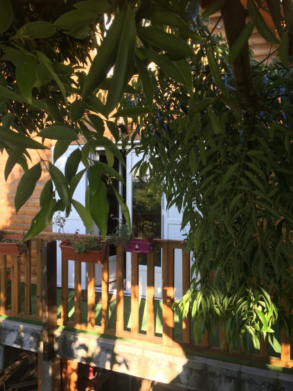 Facade/entrance, Garden view