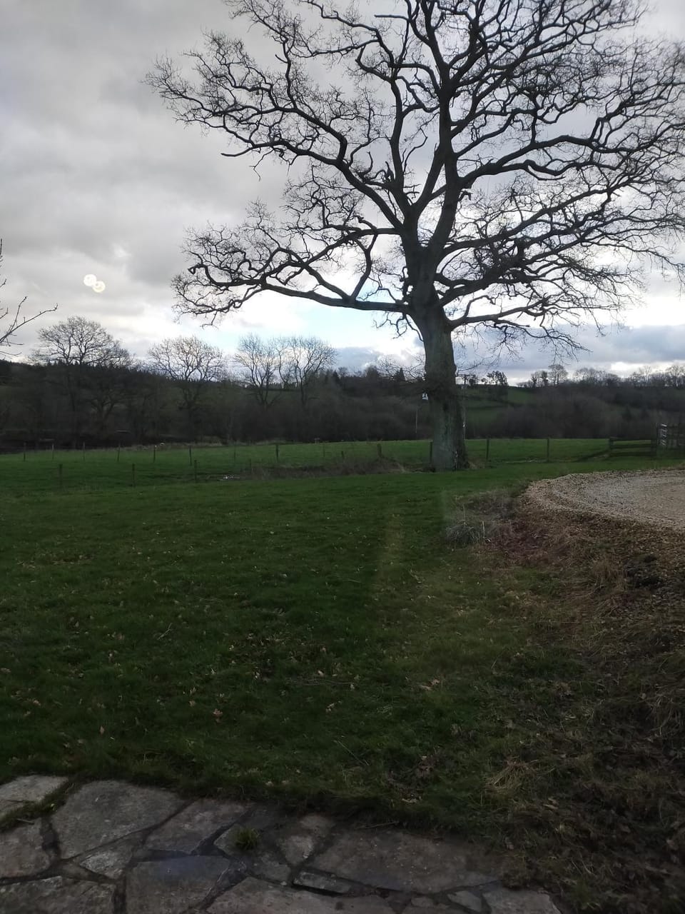 Coed Canol Farm Apartment in Wales