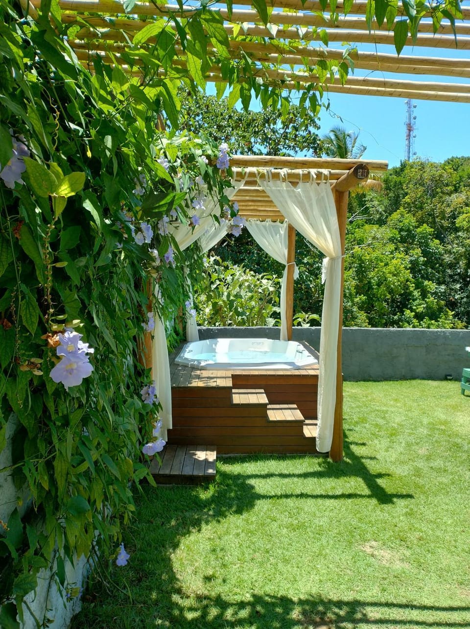 Natural landscape, Garden, Garden view