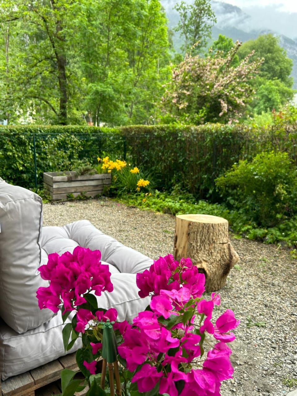 Natural landscape, Garden, Living room, Garden view, Mountain view