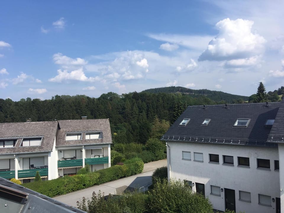 Neighbourhood, Mountain view