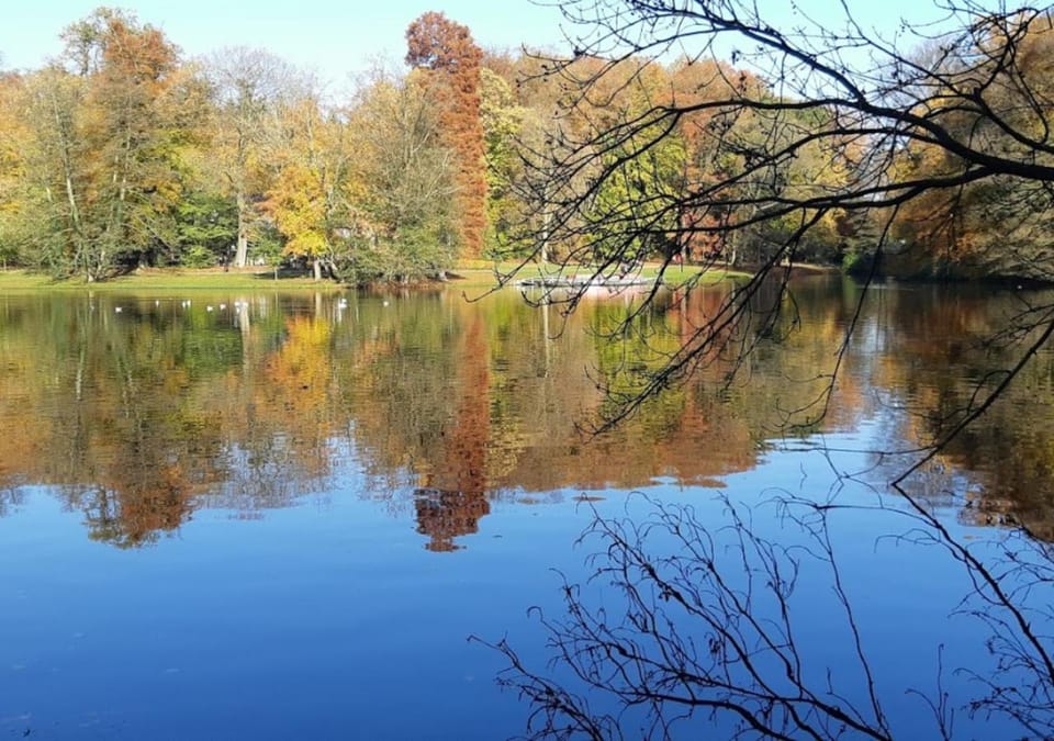 Natural landscape, Lake view