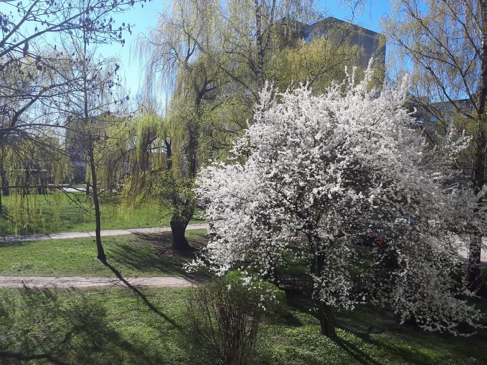 Stay in Kaunas! Apartment in Lithuania