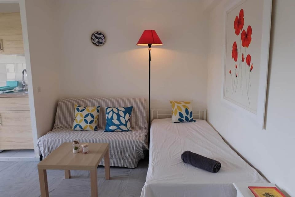 Antibes Seaside one room studio in Salis Beach Apartment in Antibes