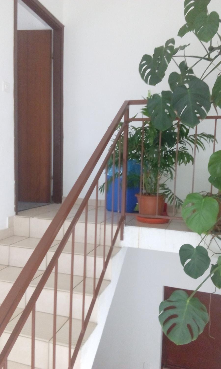 Ivan Apartment in Zadar County
