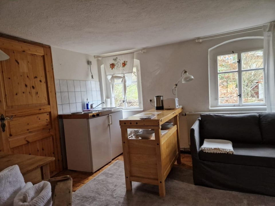 Kitchen or kitchenette, kitchen