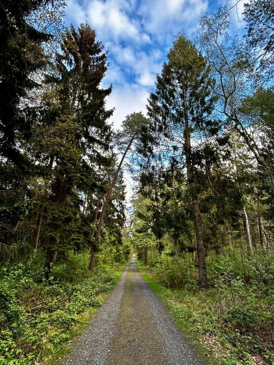Spring, Natural landscape