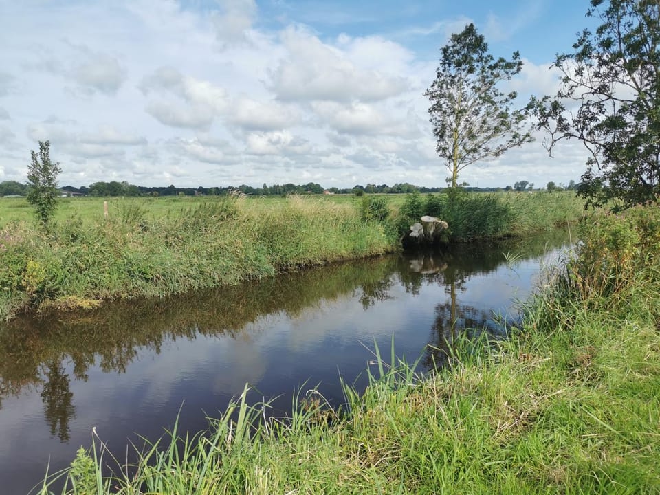 Spring, Natural landscape, River view