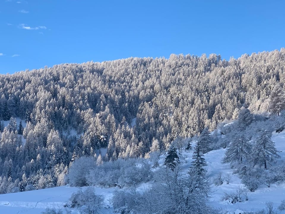 Chalet luxueux SAUNA WIFI Chalet in Provence-Alpes-Côte d'Azur