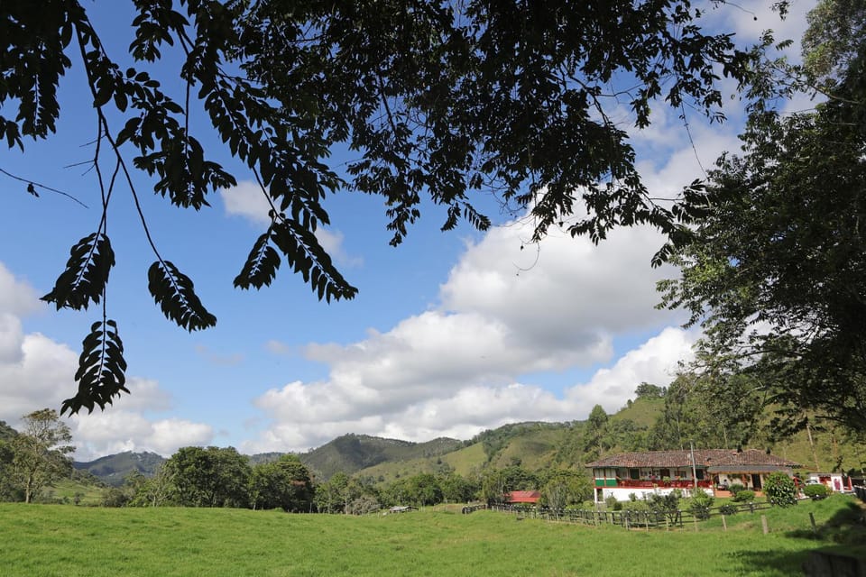 Property building, Natural landscape, Mountain view