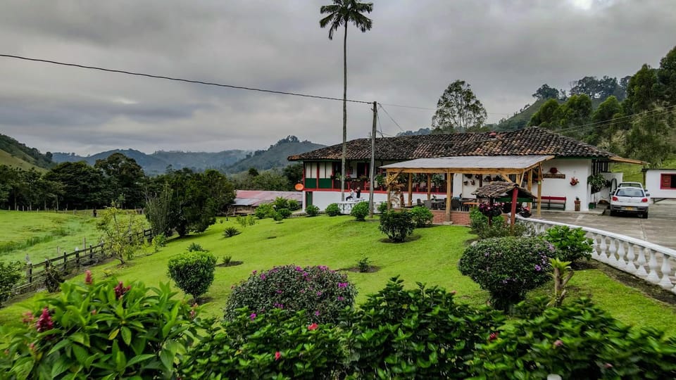 Natural landscape, Garden view