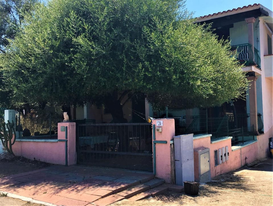 Olivastro di Tanaunella House in Sardinia