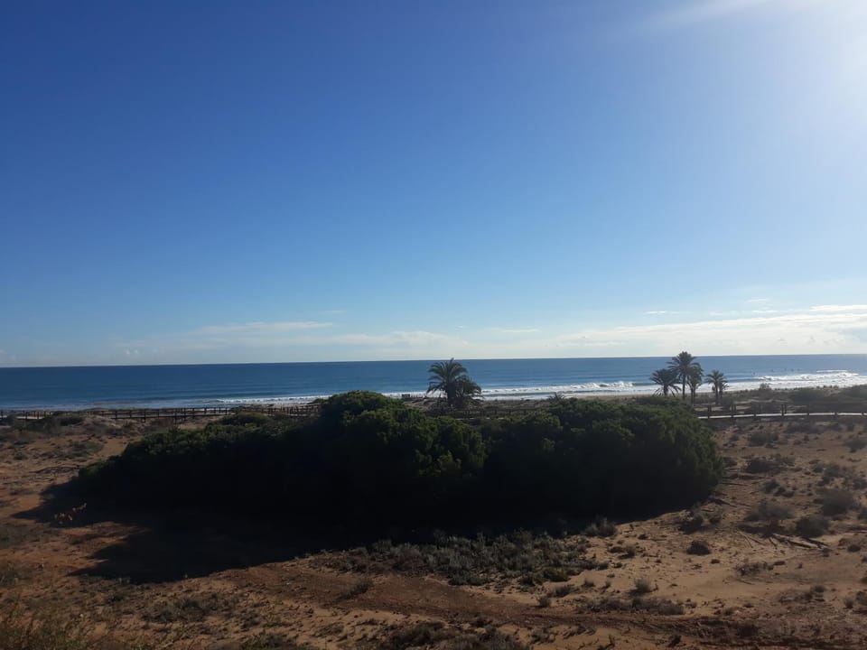 Natural landscape, Beach, Hiking