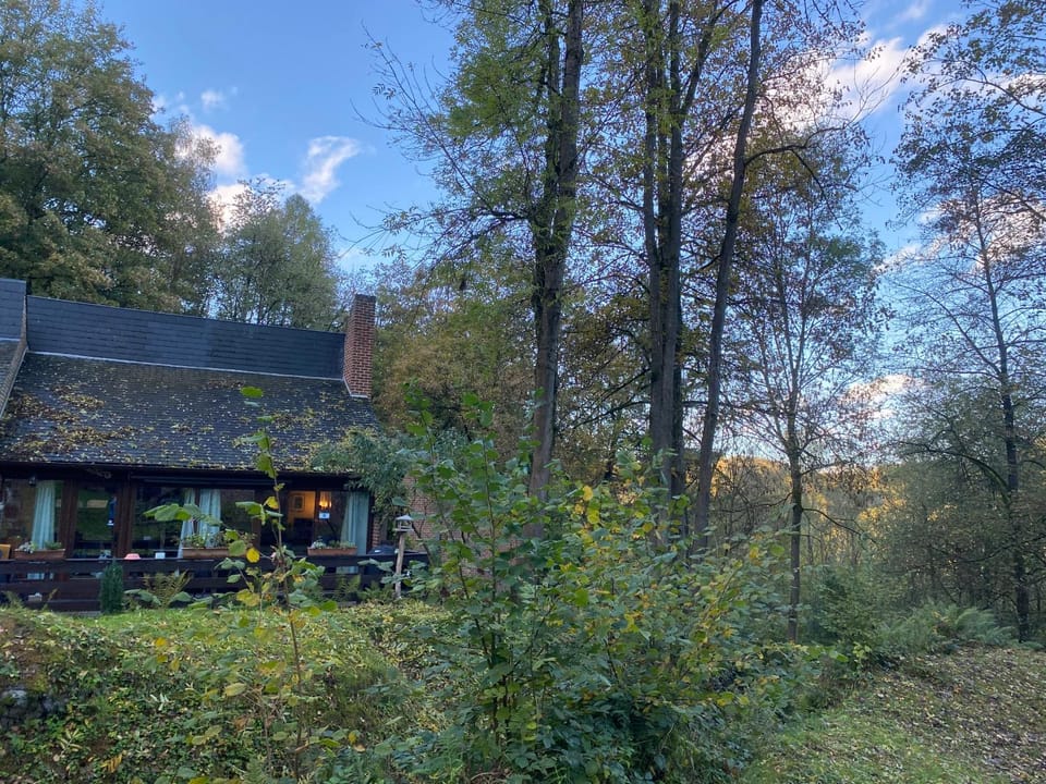 Domaine du Bonsoy--Azur House in Wallonia, Belgium