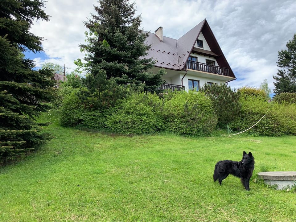 Property building, Garden, Animals, Pets
